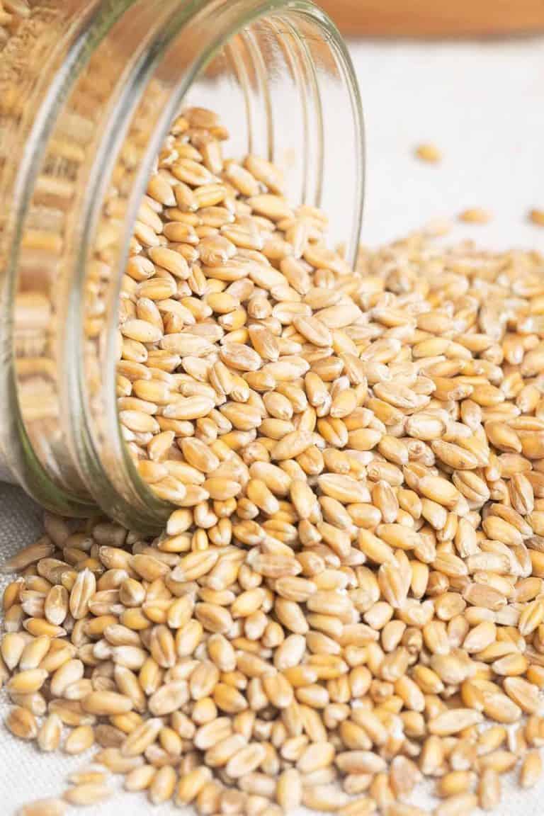 Spelt grains flowing out of a glass jar.