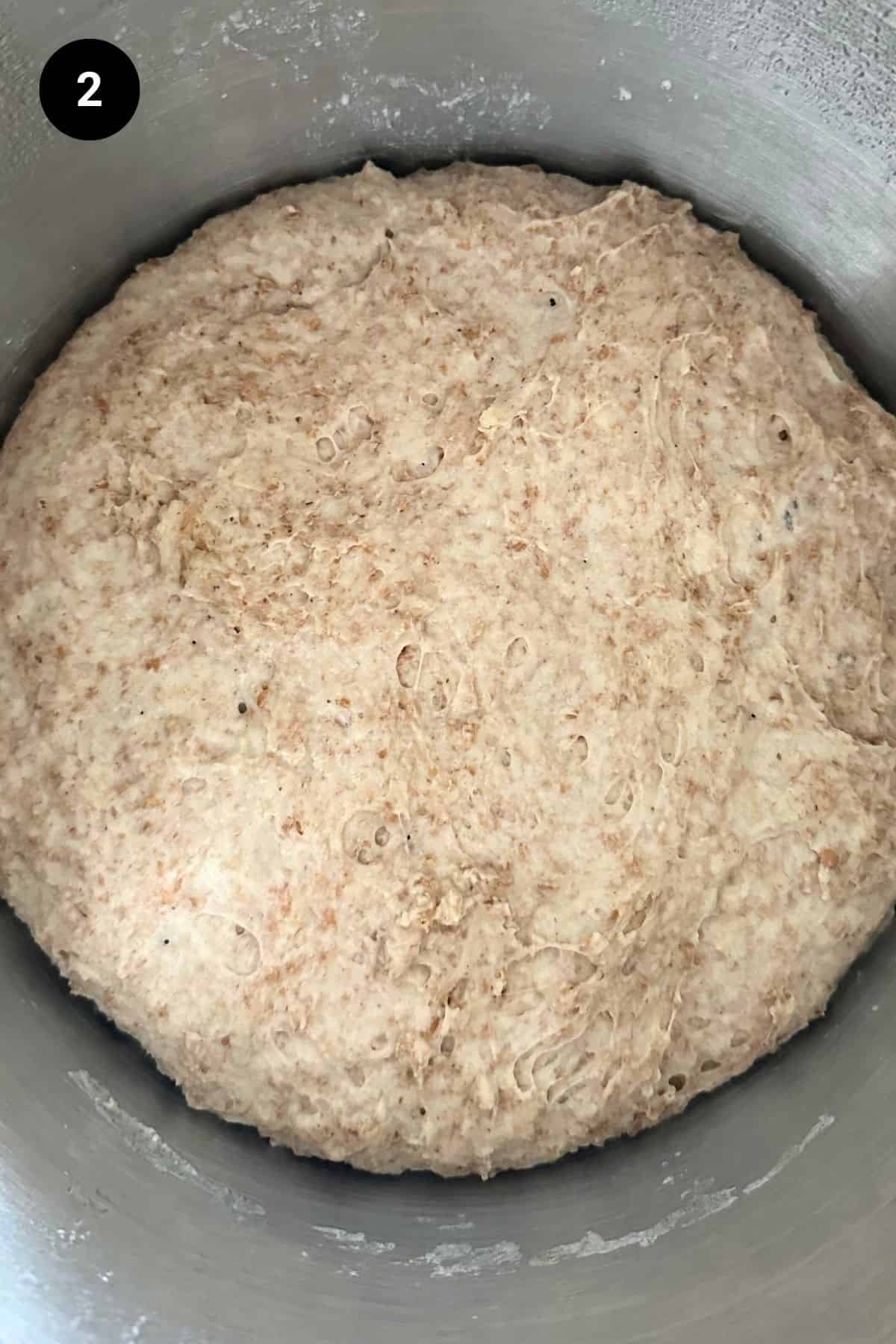 A cold fermented dough after fermentation.