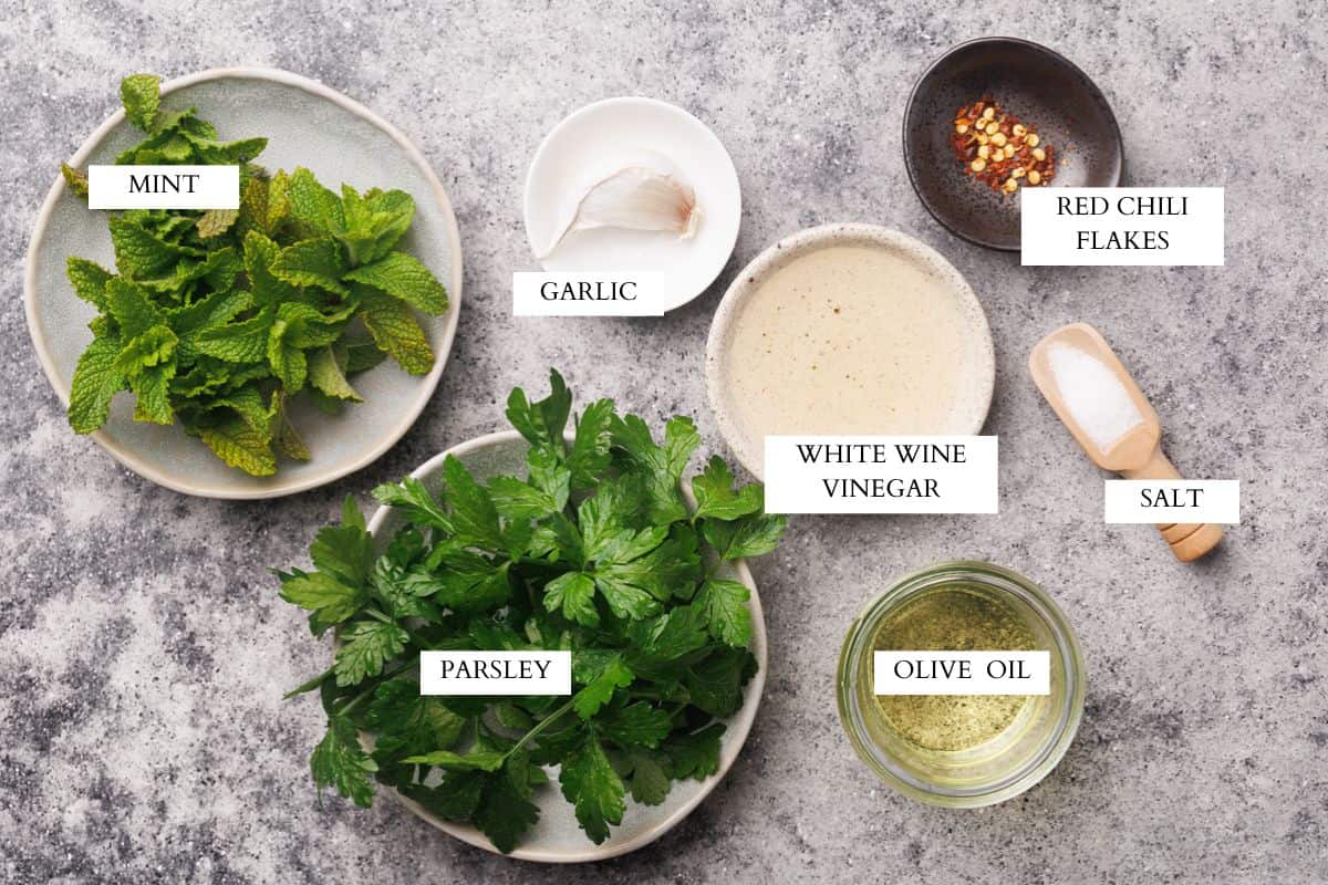 Ingredients laid out to make mint chimichurri sauce.
