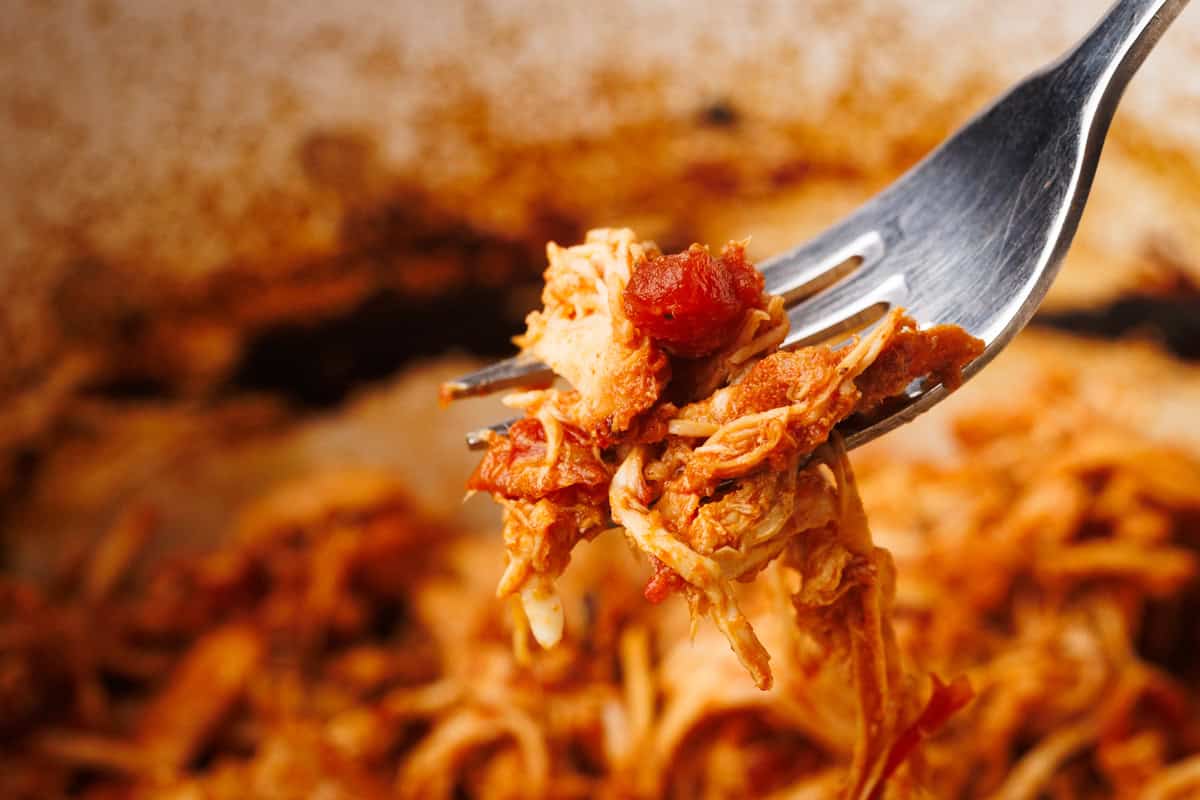 Pulled chicken on a fork.