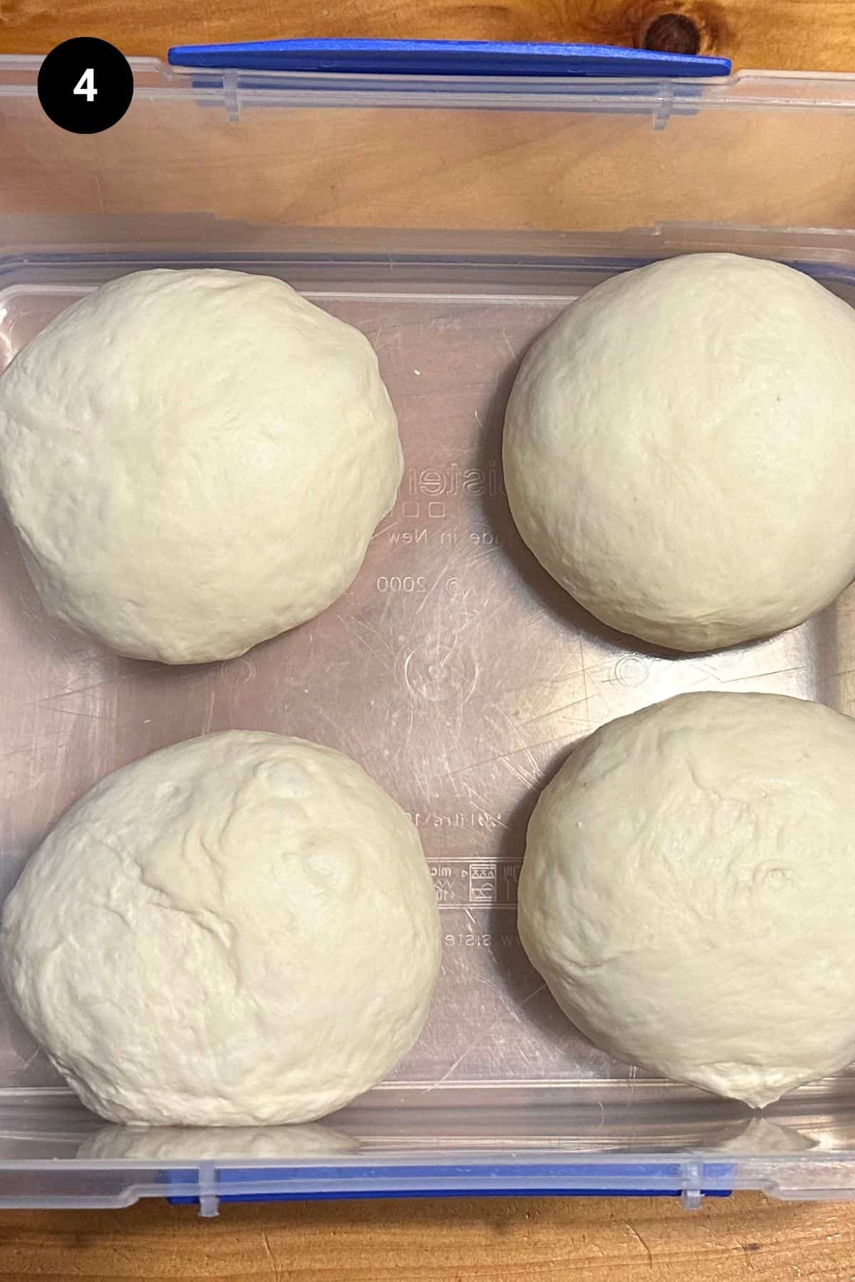 Four pizza dough balls in a plastic container.