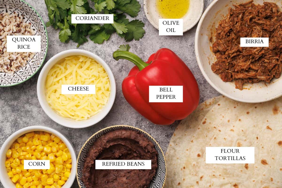 Ingredients laid out to make birria burritos.